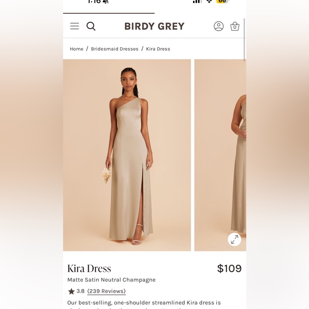 Birdy Grey One-Shoulder Dress in Champagne